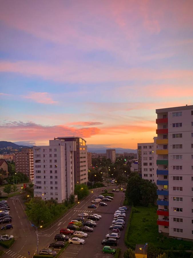 Blue Mountain Residence براشوف المظهر الخارجي الصورة